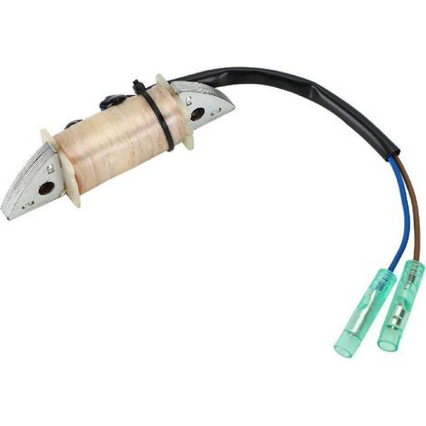 Bobina de carga y encendido para motor fueraborda Yamaha de 15 CV, compatible con las referencias 6B4-85520-00/63V-85520-00. (1/5)