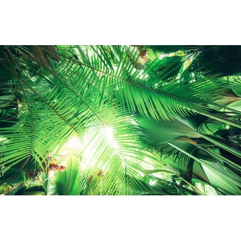 Papier peint panoramique naturel Toit de la Jungle (1/4)