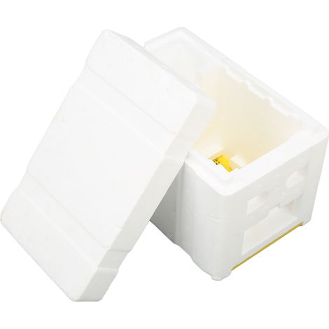Cage d'élevage pour reines d'abeilles en mousse - Boîte d'accouplement mini pour apiculture (1/5)