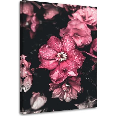 Tableau sur toile Fleurs Rose Nature 40x60 (1/5)