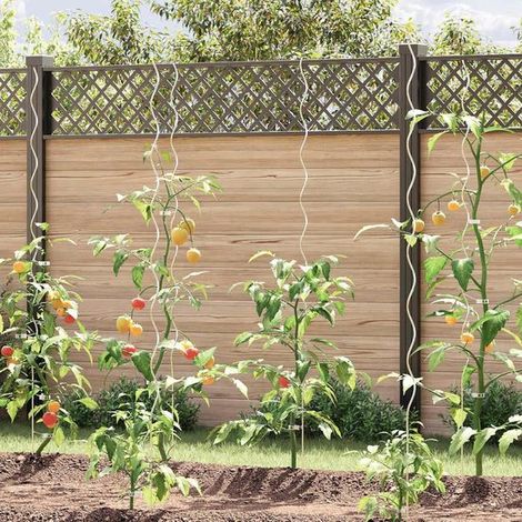 Tuteurs spirales pour tomates, lot de 20, acier inoxydable, supports pour plantes, argent (1/5)