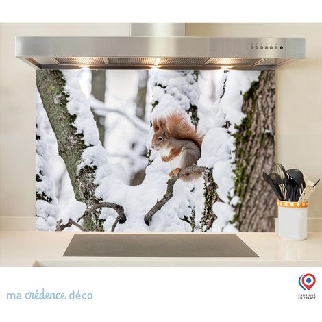 Fond de hotte : Ecureuil sous la neige - Verre trempé - 90 cm - 60 cm (1/5)