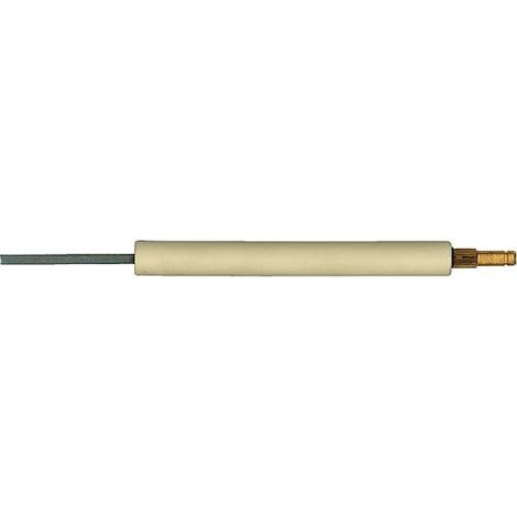 Electrode d ionisation pour Riello BS1 3007987