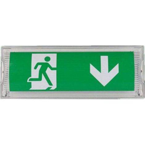 Éclairage de Sécurité LED, lampe de secours avec batterie de secours jusqu'à 3 h, éclairage de sortie de secours, panneau de sortie de secours , étanche IP65, [Classe énergétique F]