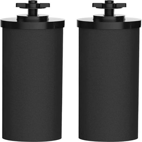Wasserfilter - Aktivkohle - Für Schwerkraftfiltersysteme - Außenbereich - 2 Stück (1/5)