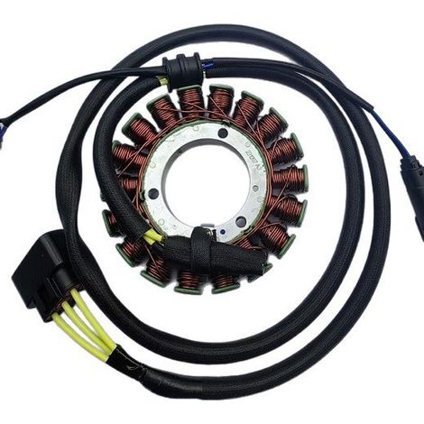 600cc single-cylinder motorcycle engine stator, rare earth magneto compatible with HS700/HS750 (1/5)