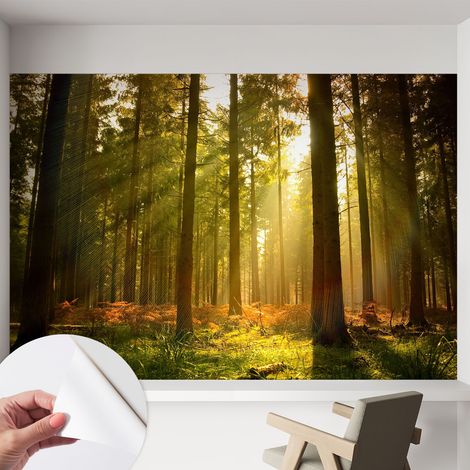 Selbstklebend Tapete modern - Wanddeko für Küche - Klebefolie Wand - luxus Look Waldmorgen 152x104 cm (1/5)