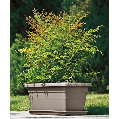 AKEA - CASSETTA SENZA SOTTOVASO-TORTORA / 100 cm