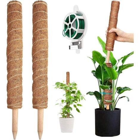 Tuteur Plante, 2 Pièces 41CM Support Plante Grimpante Tuteur Coco pour Plante Monstera Maison Jardin avec Twist 20 Meter pour Soutenir les Plantes