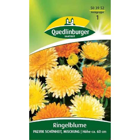 Quedlinburger Ringelblumen Pazifik Schönheit Mischung - Blumensamen (1/2)