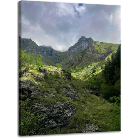 Leinwanddruck Natur Überwucherte Berge 30x40 cm