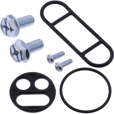 Kit de reparación de grifos Tourmax (FCK-22)