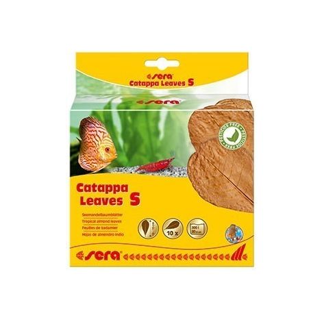 Cuidado del agua sera catappa leaves hojas naturales 14 cm