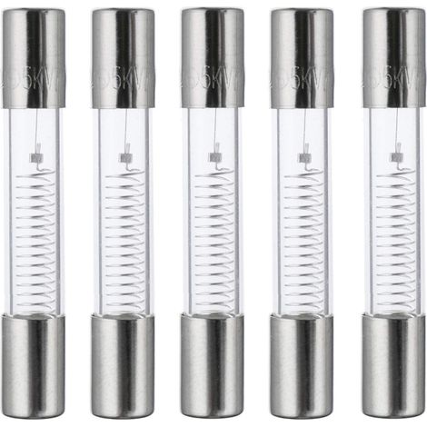 [JAMAIS UTILISÉ] 650mA 5KV 6x40mm Microwave Oven Protection Fuses High Voltage Fast Fuse 0.650 Amp 5000 Volt Glass Tube Fuse (Pack of 5) (1/3)