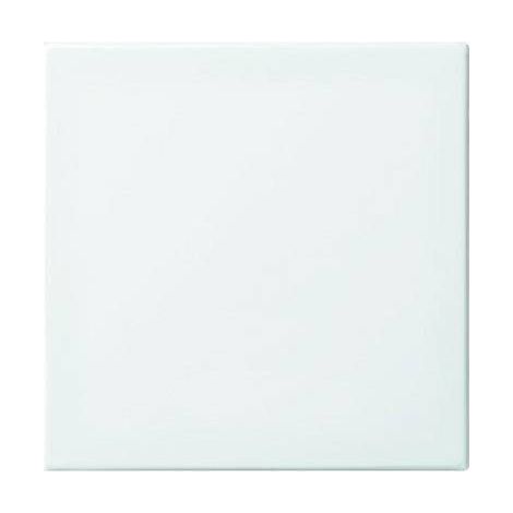 Cache Busch-Jaeger 2506-914 blanc-alpin (1/2)