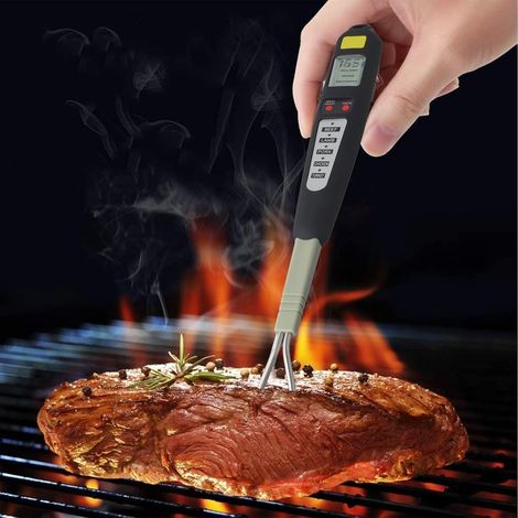 Thermomètre à viande numérique pour barbecue avec sonde (1/5)