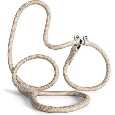 Leash 150 cm Dogs, Collar with Leash, Training Leash, Training Leash, Lead for and Retriever - Shock Absorber (Taupe