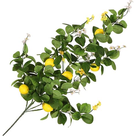 Branche de Citron Artificielle 5 Branches Vertes Réalistes Décoration Suspendue pour Porte et Intérieur Plante Artificielle pour Maison Salon et Événements Festifs Ornements (1/5)