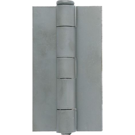 10 x CERNIERA P/FERRO 1227 EXTRA PESANTE 66X3,8X120 MM