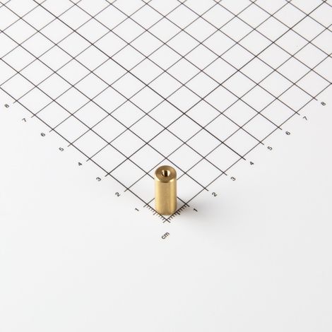 Magna-C Messing Stabgreifer aus Neodym Ø8x20mm mit Innengewinde