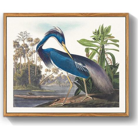 Leinwandbild Vogel 30x40 Rahmen Holz Louisianareiher 40L x 30B cm (1/5)