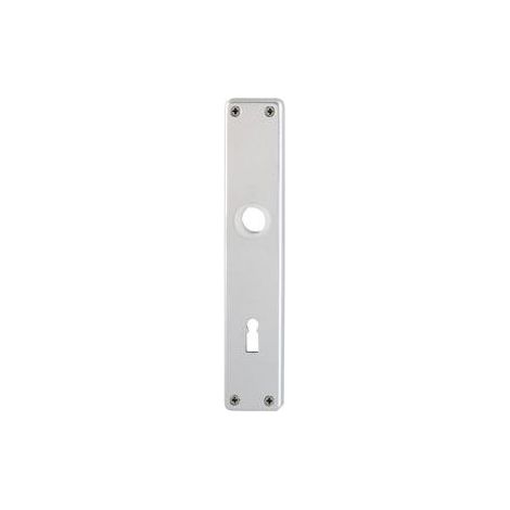 Placa larga puerta 202SP PZ55mmF1 (1/3)
