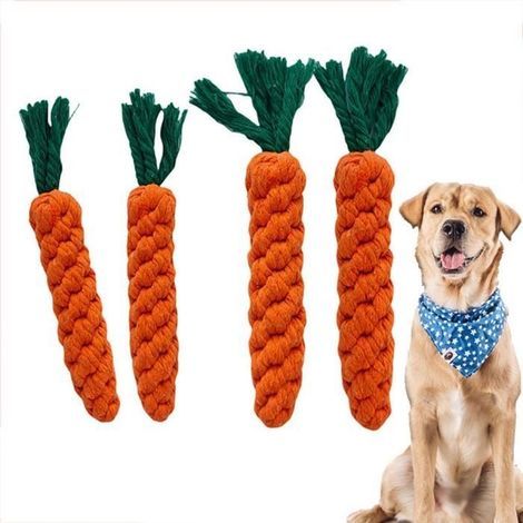 Chew Toy - Carrot - Cotton - Small Dog - Indoor Use (1/4)