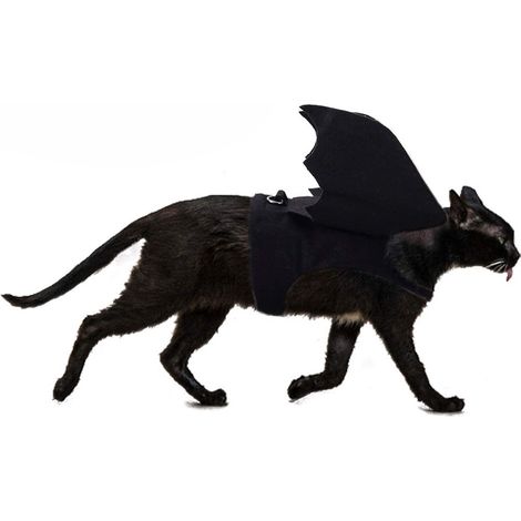 1 Déguisement chauve-souris, ailes feutre noir, sangle ajustable, accessoire fête Halloween pour chien chat (1/5)
