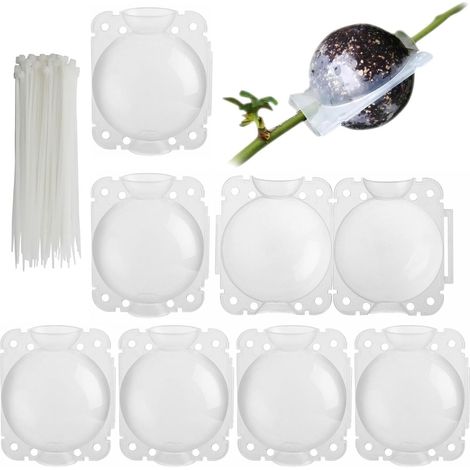Lot de 6 boîtes de culture de racines de plantes 8 cm Dispositif d'enracinement 250 ml Dispositif de greffage de plantes réutilisable Boule de propagation pour greffer et planter des racines