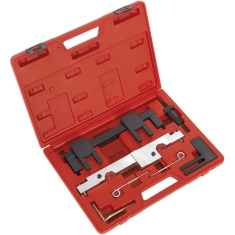 Sealey Petrol Engine Timing Tool Kit - for BMW 1.6/2.0 N43 - Chain Drive VSE6001