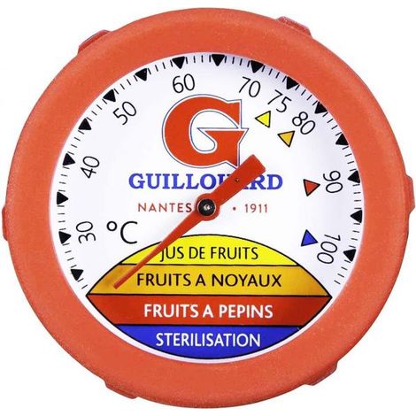 Thermomètre plongeur tige 25 cm (1/2)