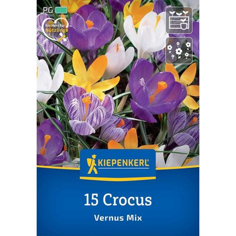 Kiepenkerl Herbstblumenzwiebel Großblumiger Krokus Mischung 15 Stück (1/2)
