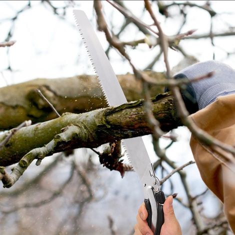 Scie de jardin à lame courbe pour branches épaisses, avec étui, pour l'abattage et l'élagage des arbres fruitiers, facilitant ainsi le travail. (1/5)