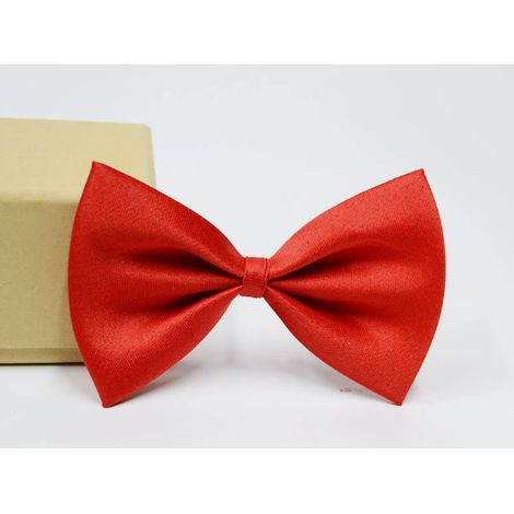 Nœud papillon pour chien ou chat