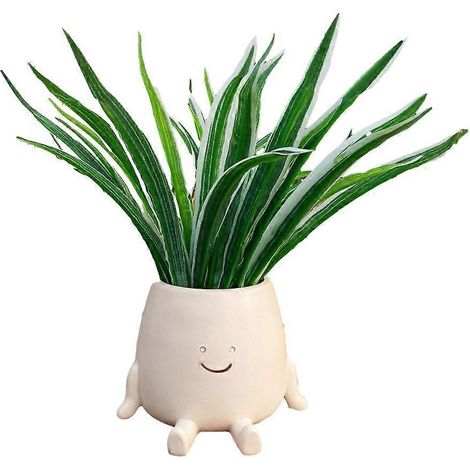 Pot de fleurs souriant à poser, décoration pour plantes succulentes