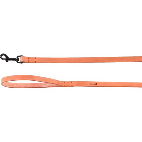 Laisse 130CM 15MM