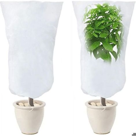Lot de 2 housses d'hiver pour plantes d'extérieur 120x80 cm, protection hivernale pour oliviers, palmiers, citronniers et arbres (1/4)