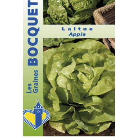 Laitue 'Appia' le sachet de 1700 graines (2g) (1/2)
