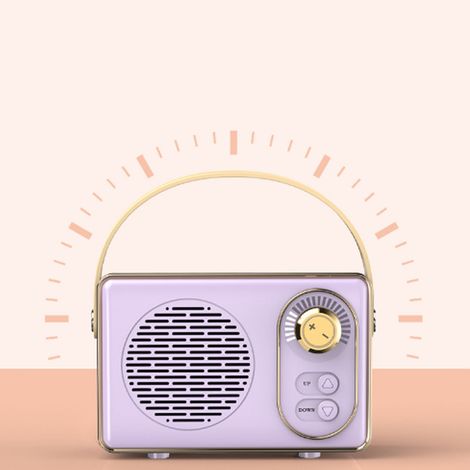 Enceinte Vintage Portable Bluetooth - Purp Sound - Design Retro Ins - ABS avec Plaque Métallique - 257g (1/5)