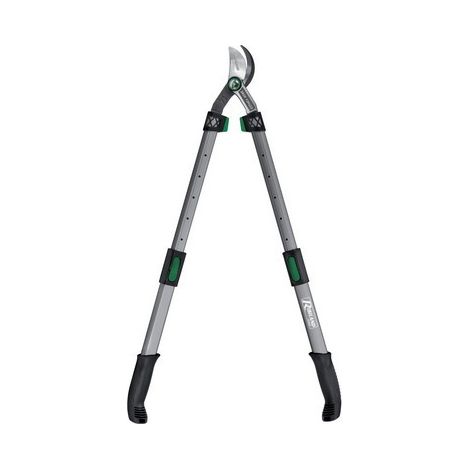 Troncarami con manici telescopici professionale