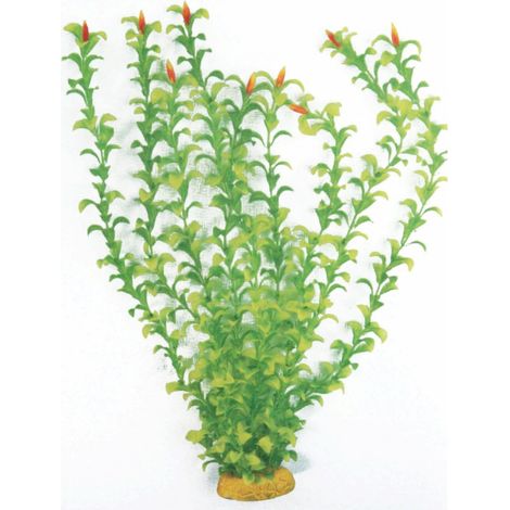 Plante Aquatique Artificielle Pour Aquariums Plante Classique Hygrophila