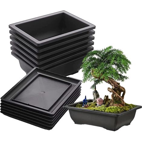 Ensemble de 12 pots et soucoupes pour bonsaï en plastique, pots rectangulaires avec soucoupe, outil de jardinage, jardinière pour salon ou bureau. (1/5)