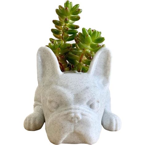 Chiot Pot Décoration Résine Chien Fleur Plante (1/5)