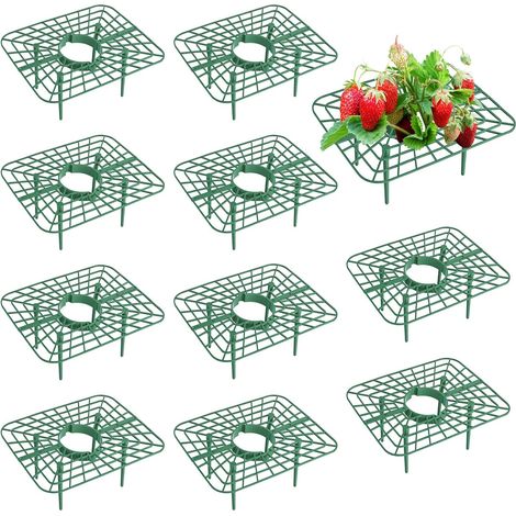 Set mit 10 quadratischen Erdbeerschutzhüllen – Schutz vor Schnecken und Erdbeeren – Gartenaccessoire gegen Schimmel – Für Topfpflanzen (1/5)