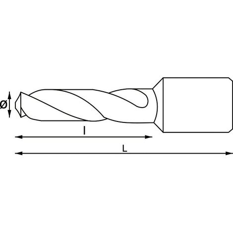 Pointe longue avec embout weldon 6x55 mm