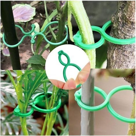 Attache Plante de Jardin Support pour Plantes Clips avec Fermoir,50 Pièces Réutilisables Pinces à Clip Tomate en Plastique, Tuteur Orchidee Durables Twisty Soutenir La Plante Grimpantes (1/5)