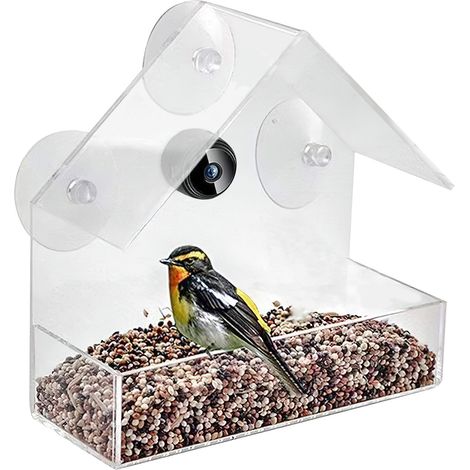 Mangeoire à oiseaux intelligente avec caméra, fenêtre à ventouse forte 12.7x7.5x7cm pour cour extérieure (1/5)