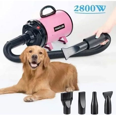 2800W Pet Grooming Hair Dryer for Dogs, Cats, and Other Animals - Adjustable Heat and Speed, French Standard Plug (1/5)