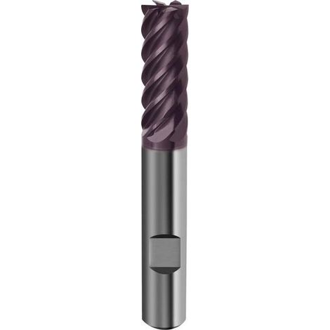 Fragola Lungo Cilindrico, Tipo H, Metallo Duro, Coda Hb 6 A 8 Ammaccature E Coperto Da Tialn, Ø D1 - E8 14.0 Mm Lungo. Totale 83 Millimetri L1