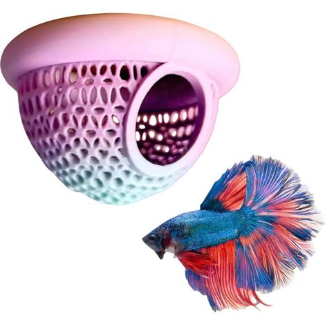 Schwimmtrichter für Betta-Aquarien Hamac - Zubehör für Betta-Aquarien - Crevettes - Einzigartiger Schwimmtunnel - Nano-Aquariumdekoration - Rennzubehör (Arc-en-Ciel) (1/2)